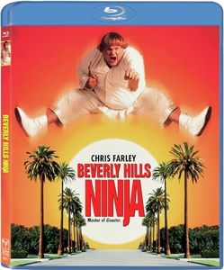 Beverly Hills Ninja