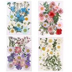 ruggito 140 Pcs Natural Pressed Dried Flowers and Green Leaves, 4Pack Mixed Real Dried Flowers for Scrapbooking/Nail Art Decor/DIY Art Makeup Floral