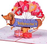 Paper Love Happy Valentine's Day Card, 3D Dog Pop Up Valentine Cards - 5" x 7" Cover - Includes Envelope and Removable Note Card