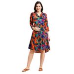 MomToBe Women's Rayon Maternity Dress/Pregnancy Dress/Easy Breastfeeding Dress/Western Dress with Zippers for Nursing Pre and Post Pregnancy (Multi & Medium) Multicolour