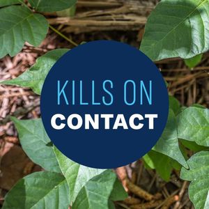 BioAdvanced Brush Killer – Triclopyr Weed Control