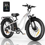 Long Range Electric Bike