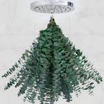 CENELO 30 Pcs Eucalyptus for Shower, Dried Hanging Bundle -17in Real Eucalyptus Stems,100% Natural Leaves Greenery Stems & Aromatic Shower Plant, Home Decor, Party Present, Wedding Gift
