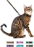 CollarDirect Adjustable Cat Harness and Leash Set for Outdoor Walking Pattern Harnesses for Small Dogs Puppy (Tribal, XS)