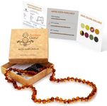 Amber Guru Baltic Amber Necklace fo