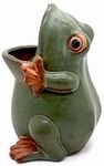 MONMOB 7" Ceramic Frog Shaped Plant