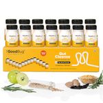 The Good Bug Gut Cleanse - 14 Prebiotic Colon Detox Shots | Improves Probiotic Activity, Gut Health & Digestion | Tackles Bloating, Gas & Constipation