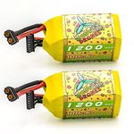 CNHL 6S Lipo Battery 1200mAh 22.2V 100C with XT60 Plug for FPV Drone Quadcopter Helicopter Airplane RC Multi-Motor Model Racing Hobby(2 Packs)