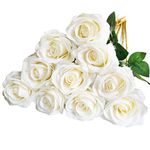 DuHouse 10pcs Fake Roses Artificial Silk Flowers Faux Rose Flower Long Stems Bouquet for Arrangement Wedding Centerpiece Party Home Kitchen Decor(Ivory -White Long Stem