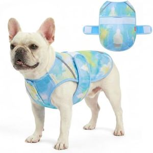 KYEESE Dog