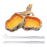 Reptile Growth 4 Pieces Reptile Water Dish Food Bowl Set Includes 2 Food Feeder Bowl Resin Reptile Bowl Water Bowl 2 Feeding Tweezer Tong for Pet Tortoise Lizard Frog Gecko Snake Chameleon