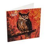 Crystal Art Autumn Owl Crystal Art Card Kit 18 x 18 cm