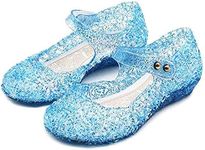 Princess Girls Shoes Cinderella Shoes Snow Queen Shoes Dress Up Shoes Halloween Cosplay Fancy Dress Up Shoes for Girls Blue