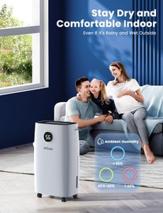 12L Dehumidifier with Digital Display – Compact Home Moisture Removal