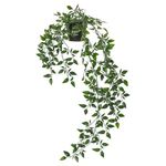 Ikea FEJKA Artificial Potted Plant, in/Outdoor/Hanging9 cm (3 �") Pack of 1