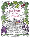 The Secret of the Forest: Search for the hidden pieces of jewellery. A colouring book for adults.