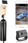 WHITEHORSE Bird House with Camera, 