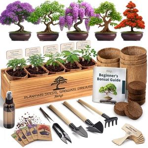 Bonsai Tre