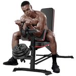 Workout Bench For Legs