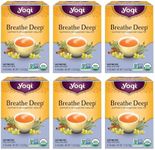 Yogi Tea - Breathe Deep (6 Pack) - Supports Respiratory Health with Eucalyptus, Thyme, and Mullein Leaves - Caffeine Free - 96 Organic Herbal Tea Bags