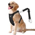 Dog Safety Harness