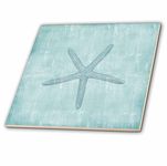 3dRose ct_178911_3 Ceramic Tile, Varies