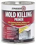 Rust-Oleum 276087 Mold Killing Prim