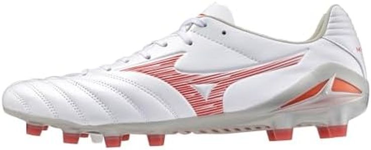 Mizuno Mon