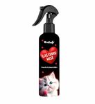 Cat Scratch Spray