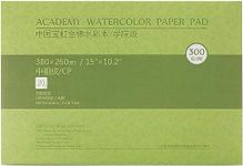 MEEDEN 15×10.2" Cotton Watercolor Paper Block, Textured Surface Watercolor Paper, Cold Press, 140lb/300gsm, 20 Sheets for Watercolor Gouache Ink Acrylic and More