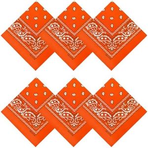 APIGANIZ 100% Cotton Bandanas, 21 x 21 inches, Set of 6 (Basic - Orange)