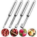 Girls'love talk 4 Pieces Fruit Corer Remover Steel Easy Twist Core Seed Remover Pear Apple Corer Pitter for Kitchen House Tool