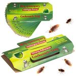 Hyzone Cockroach Traps for Kitchen with Bait 10 Pcs, Strong Adhesive Cockroach Trap for Home, Sticky Cockroach Repellent Traps for Insects, Home Bugs, Safe & Easy to Use - Pack of 10