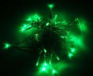 Karlling Battery Operated Green 40 LED Fairy Light String Wedding Party Xmas Christmas Decorations(Green)