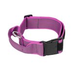 Julius-K9 Color & Gray Collar with Handle, Safety Lock and Interchangeable Patch, 50 mm (49-70 cm), Pink-Gray