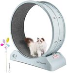 Primachen Cat Exercise Wheel for Indoor Cats, 31.5" Cat Treadmill with Brake, Cat Wheel Exerciser for Cat's Fitness & Health, Easy to Install and Suits for Most Cats