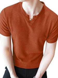 TAGDO Men's Waffle Knitted V Neck Regular Fit Tees (RF-V-Waffle-2012-Rust-XXL)