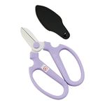 SakaHajime Hand Creation F-170 Limited Color Lavender (Japan Import)