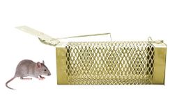 Neha Traders | Rat,Mouse,Rodent Trap Cage Rustic For Home & OfficeRat Trap Cage (26 X 11.5 X 10 cm) Iron Gold Color Criss Cross Design Heavy Quality (Large)