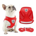 Anlitent Dog Harness and Lead Set for Cuahion Walking No-Pull No Choke Pet Vest Harnesses Halter Ultra Soft for Puppies Small Medium (Large, Red)