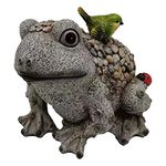 G&H Decor – 22cm Frog Garden Ornaments Outdoor Figure – Hand Painted Resin Pond Ornaments Outdoor with Intricate Detail – Weather Resistant Suitable for Indoor Use – Frog Gifts (Grey Tone)