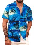 APTRO Men's Hawaiian Floral Shirt Short Sleeved Floral Shirt Beach Aloha Funky Party Floral Shirt Sun Blue MF174 L