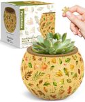 PieceRelax 3D Puzzle Planter - Elegant Green - Small Round Plant Pots with Drainage, Home Decor Flower Pots for Indoor Cactus, Succulents Pots [K1105]