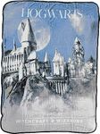 Northwest Harry Potter Micro Raschel Throw Blanket, 46" x 60", Witchcraft and Wizardry