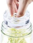 4-Pack of Fermentation Glass Weight