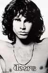 LPGI Jim Morrison Open Arms Wall Po