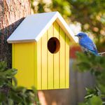 BIRDSHALA Wooden Large Bird House for Sparrow, Bulbul, Budgies, Wild Birds & Pet Birds - Colorful Garden Decorative (Yellow)