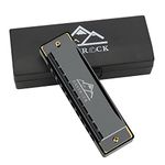 EastRock Blues Harmonica Mouth Organ 10 Hole C Key with Case, Diatonic Harmonica for Professional Player, Beginner, Students gifts, Adult, Friends, Gift Black