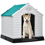 DWVO Large Outdoor Dog House, Plastic Doghouse with Air Vents and Ground Nails, Insulated Water Resistant Puppy Shelter for Small Medium Dogs (34.5''L x 31''W x 32''H, Blue)