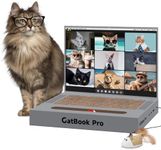 Cat Scratcher Laptop